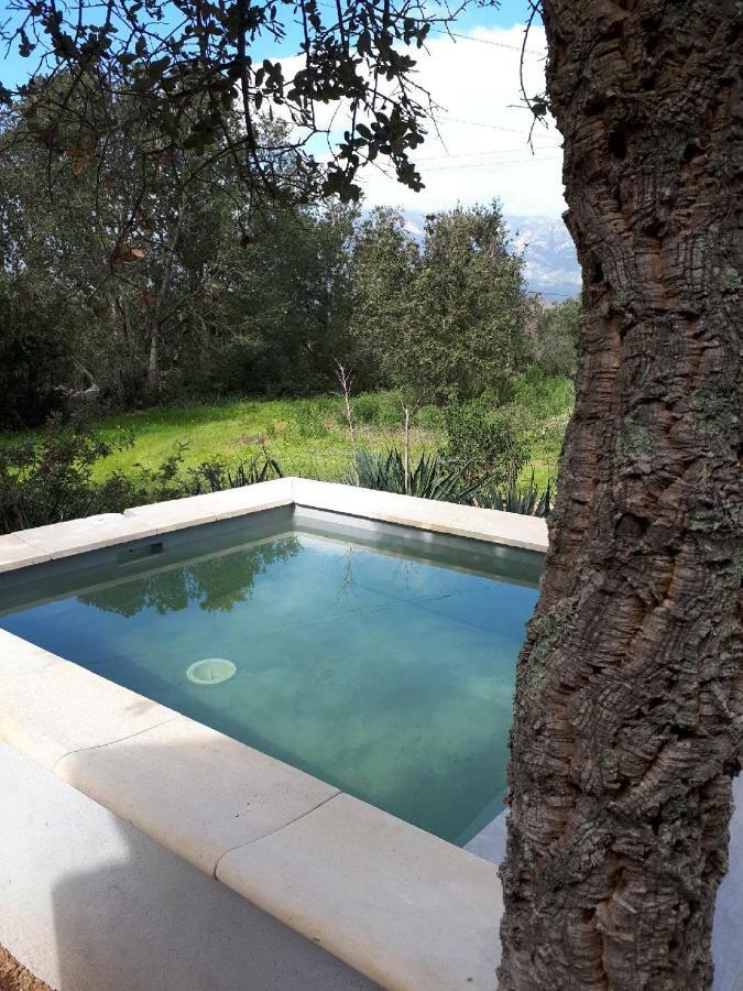 Casa Gattu Villa Porto-Vecchio  Exterior photo